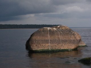 img_0509.jpg